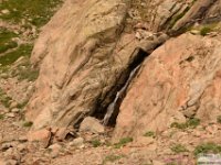 2025-07-27 M. Pelago e Lacs Bessons 206